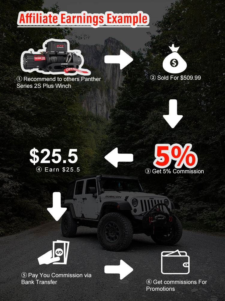 affiliate earning example