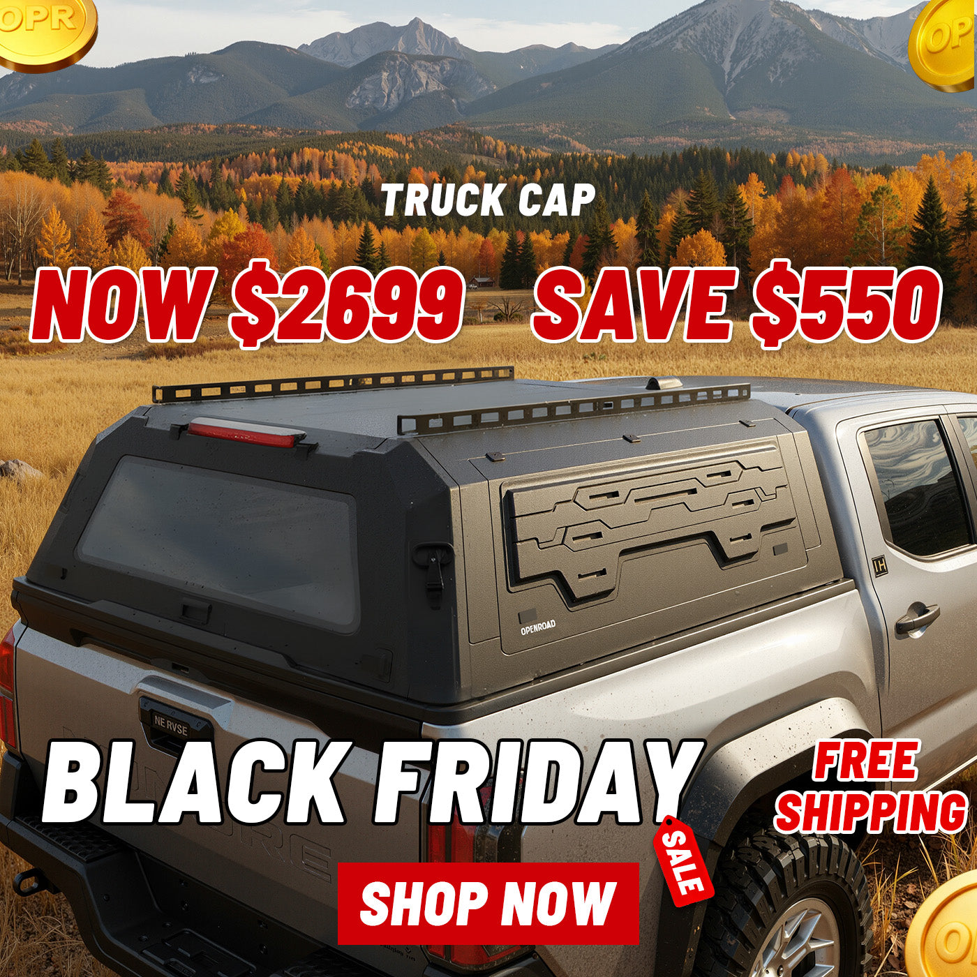 Truck cap